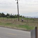 Cambria_0098 (November 05, 2011)